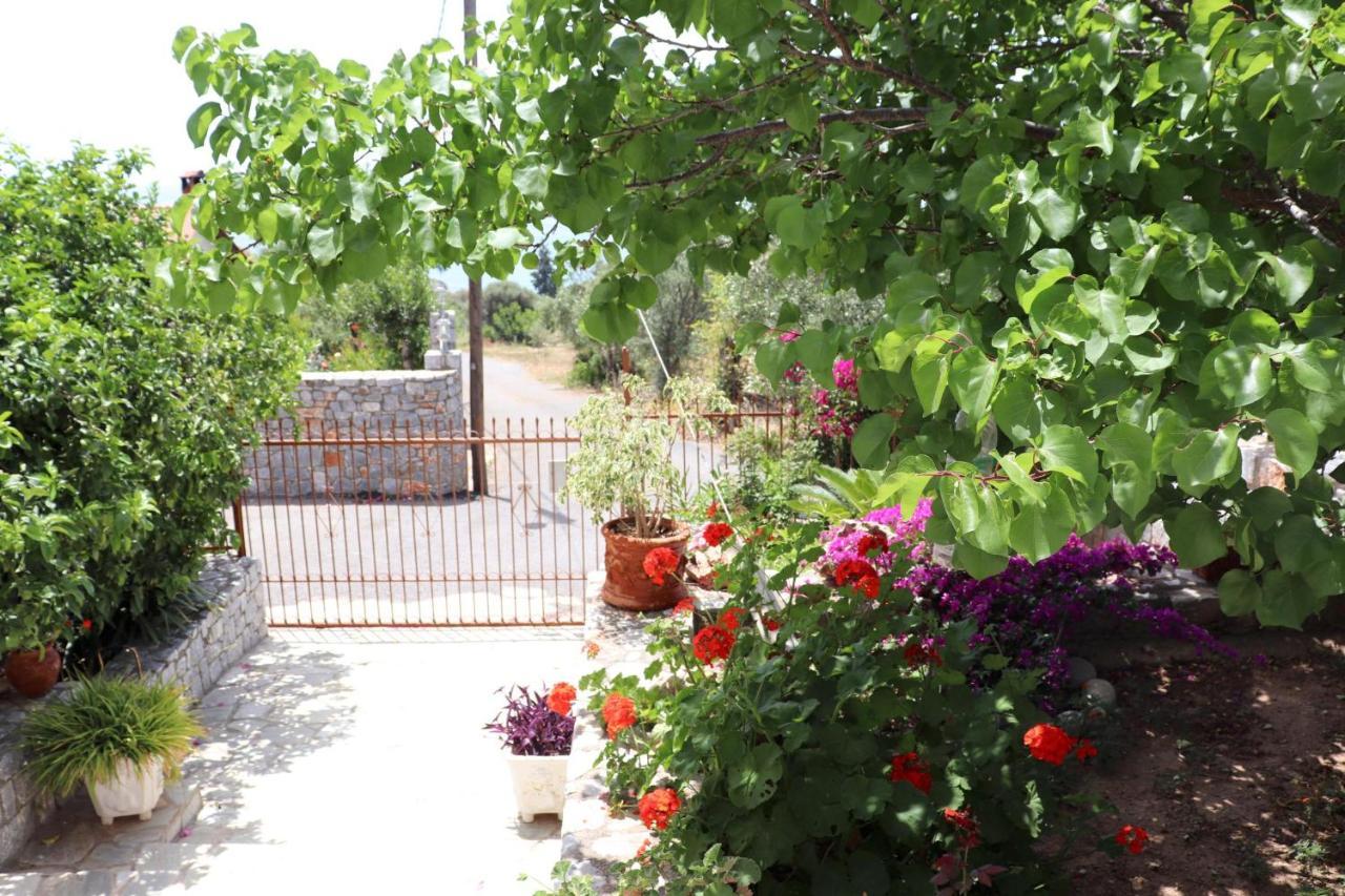 Amanda Villa Selinitsa Exterior photo